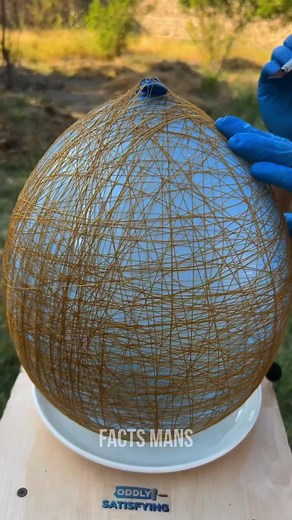 3.2M views · 54K reactions | Johnny 藍藍 #reelsinstagram #facts #DidYouKnow #factsdaily #didyouknowfacts | Facts man | Facebook