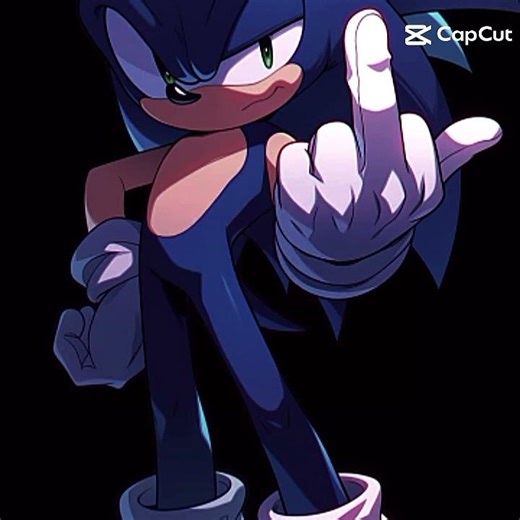 not my problem {sonic edit}