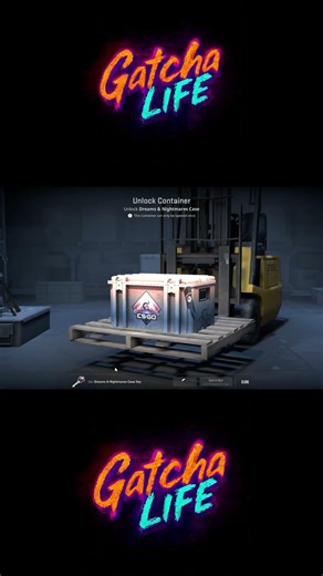 Day 11 Opening CS2 Case