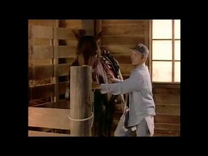 white fang S1 E08 Wild & Free