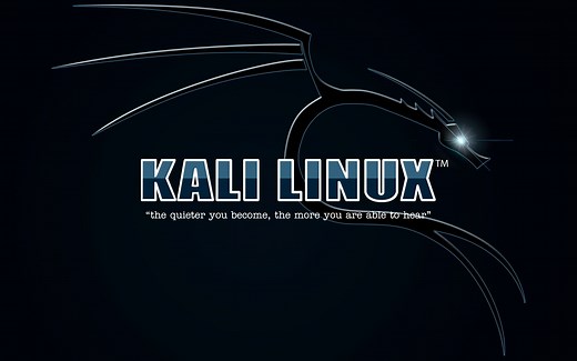 Kali 2020.1版本大更新安装体验