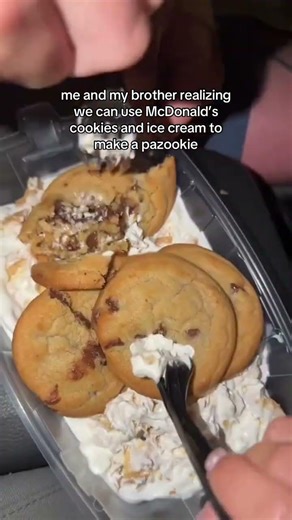 me and my brother realizing we can use McDonald’s cookies and ice cream to make a pazookie