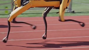 Get insider perspectives on the latest breakthroughs. | IEEE Spectrum