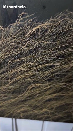 Why Do Artists Use a Syringe to Create Paintings? #shorts #ayushxyz