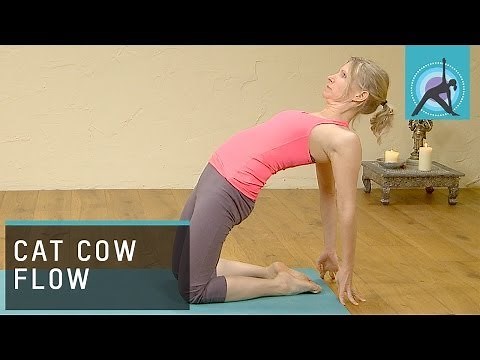 Cat Cow Flow, Yoga with Esther Ekhart