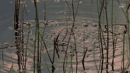 213K views · 682 shares | The Arctic permafrost has been expected to gradually thaw and release greenhouse gases into the atmosphere. But it may actually be sped up by instances of a relatively little known process called abrupt thawing that takes place under a certain type of Arctic lake. Details: https://go.nasa.gov/2OOfIfA | NASA - National Aeronautics and Space Administration | Facebook