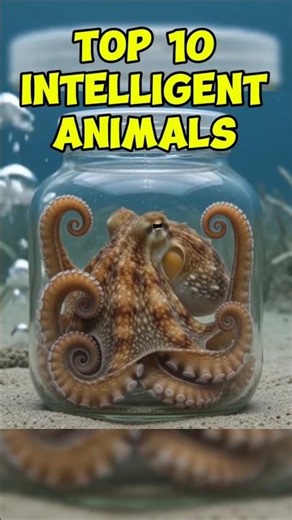 Top 10 inteligent animals in the world #top10