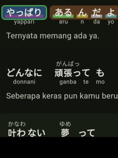 Incentive Programs for Career Shadowing in Japan