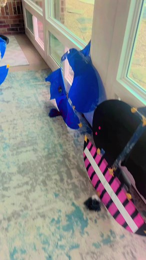 #kite #kites #kitesflying #ricky