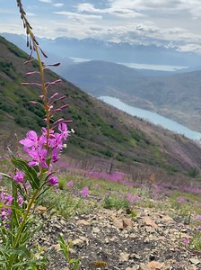 2.4K views · 24 reactions | Public Notice: opportunity for comments...