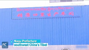 3.6K views · 576 reactions | China's highest-altitude mask factory goes operational in the city of Nagqu, Tibet | China Xinhua Sci-Tech | Facebook