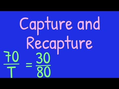GCSE Maths: Capture and Recapture