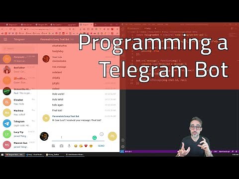 10.4 How to Program a Telegram Bot - Fun with WebSockets!