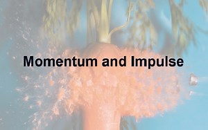 CTGU College Physics -- Momentum and Impulse