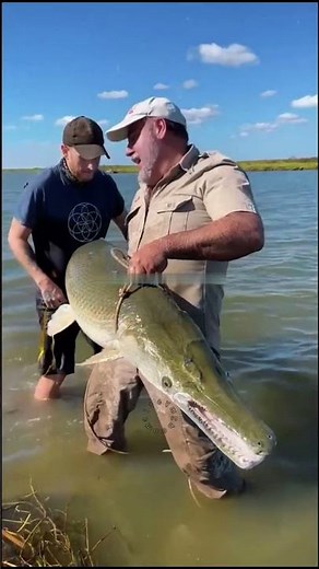 Why Alligator Gar Fish Skin Behaves Like Steel | Sparks While Cutting | Science Explained