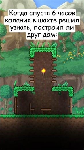 Donkey Buildings in Terraria: #terraria #memes #animation