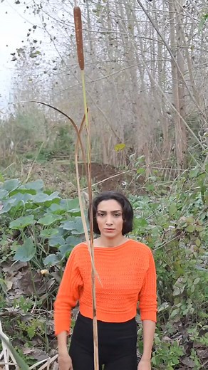 7.3K views · 18 reactions | How to make a CATTAIL TORCH︖狼 Cattail is highly absorbent, soak it with flammable liquid (vegetable oil, animal oil, petroleum, gasoline...) for one hour. You have a torch that can#survival #camping #outdoors #bushcraft #wilderness_exploration #forest #hiking #wildlife #adventure #skills #fire #shorts #narcissus #lifehacks #bushcraft she Makes a SURVIVAL LAMP FIRE DIY #survival #camping #bushcraft #outdoors #skills | Ed Konias Vanderwell | Facebook