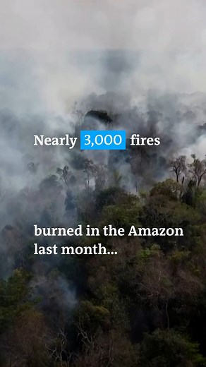 1.3K views · 23 reactions | Nearly 3,000 forest fires were registered in Brazil's Amazon last month, the highest for any February since records began in 1999. via #dwnews DW News | DW Environment | Facebook