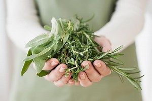 Easy Methods to Freeze Fresh Herbs That Preserve Flavor & Aroma | LoveToKnow