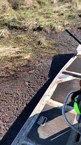 58K views · 674 reactions | Trying to get on some pigs. Water fell out, nothing but Mudd!! | Ronnie Adams from Swamp People | Facebook