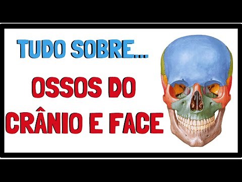 SKULL BONES | Everything you need to know about the bones of the head | Animated summary