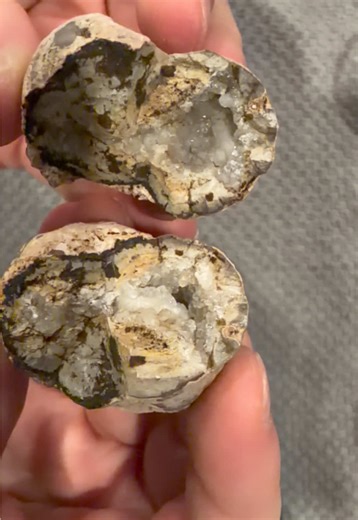 Geode 1 reveal! Cracked open with a hammer and chisel. #geode #rockhounding #godscreation #crystals #treasure