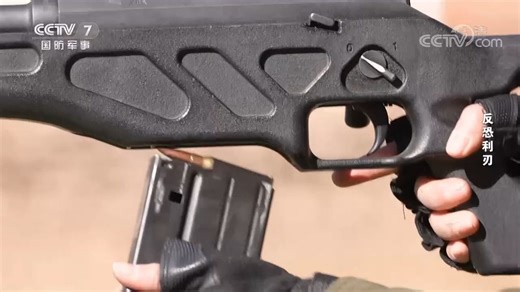 CS/LR4型7.62毫米高精度狙击步枪