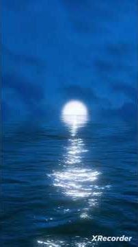 " Playlist OTT Navigator "