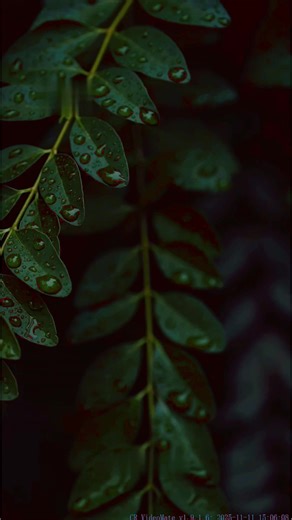 Calm nature views for daily rest#view #scenic #beautiful