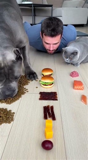 I Challenged My Dog to Eat FAST… You Won’t Believe What Happened! 😱🤣 #shorts #dogs #funny #challenge