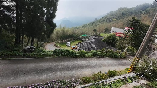 1.6K views · 19 reactions | Mini Morris on Reels | Facebook