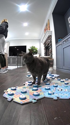 Adorable Pug Communicates with Dog Buttons | Funny Talking Pug