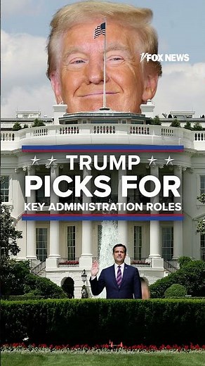 Meet Trump's Cabinet picks