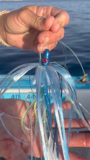 Watch This Florida Mahi Mahi Change Color! | Darcizzle Offshore