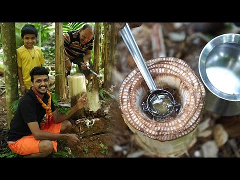 Banana stem filtered juice | Best medicine for kidneystone | ಬಾಳೆದಂಡಿನ ಶುದ್ಧ ರಸ ಶೇಖರಣೆ