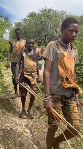 Hadzabe hunters search hunt in jungle