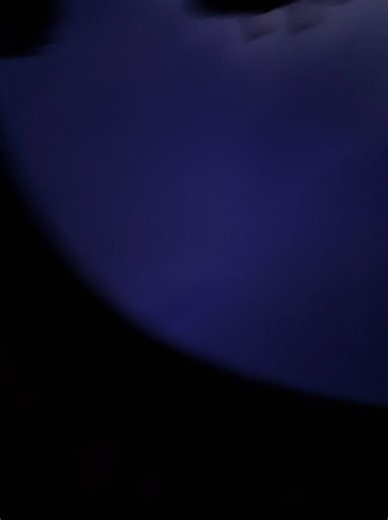 Soarin’ Through Disney: A Magical Experience