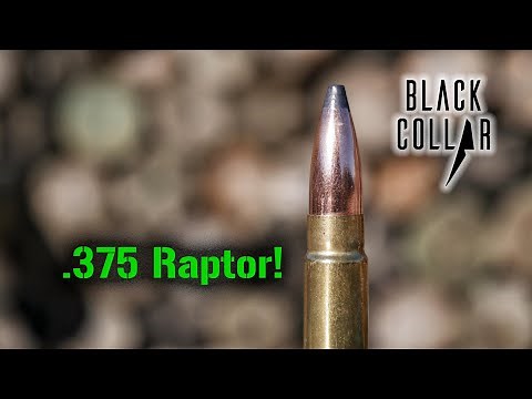 Black Collar Arms .375 Raptor Information & Intro