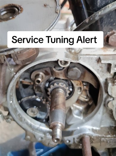 Service Tuning Alert: Maximize Your Vehicle's Performance!
