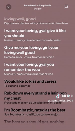 Understanding Boombastic by Shaggy: Lyrics and Meaning