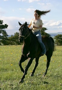 Flicka (2006) | ČSFD.cz