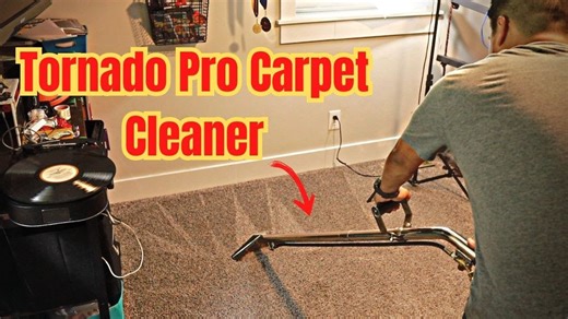 Professional Carpet Cleaner Tested by a Homeowner – Results Revealed