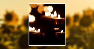 Norma Marie Ferraro Obituary September 20, 2024 - Moloney Family Funeral Homes, Inc.