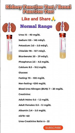 Renal Function Test | RFT | KFT | kidney test #gfr #kidney #kft #rft #creatine