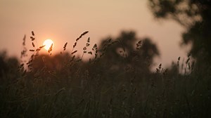 Lamar Steiger of The 808 Ranch is a member of the group of dedicated...