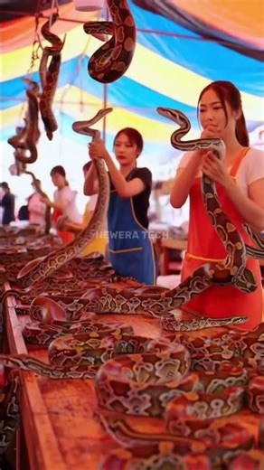 Beautiful Asian Girl in the Market and the Python ‪@muhammadarif-ai‬