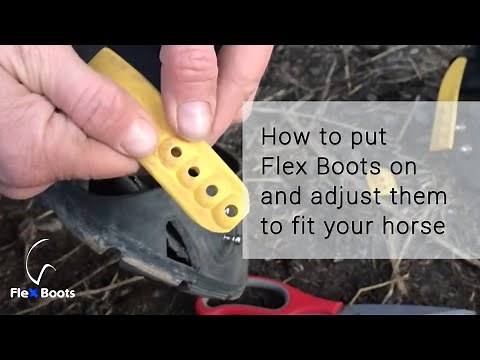 How to put Flex Boots on and adjust them