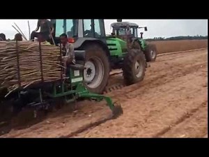 CASSAVA PLANTER PLANTI CENTER - AFRICA