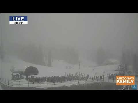 SNOW IN AZ! Watch the live snowfall at Arizona Snowbowl