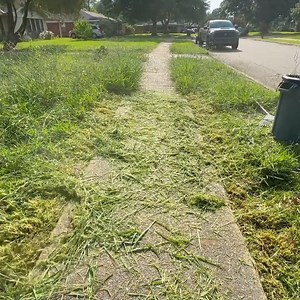 6.1K views · 107 reactions | OVERGROWN LAWN and Neighbors NEEDED my help RESTORING this | Daily TK Lawns | Facebook